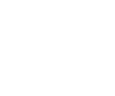 ALPI